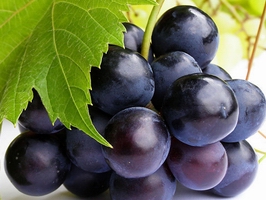 �c���鿴Ԕ��